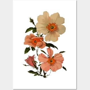 White and pink flower vector art design Posters and Art